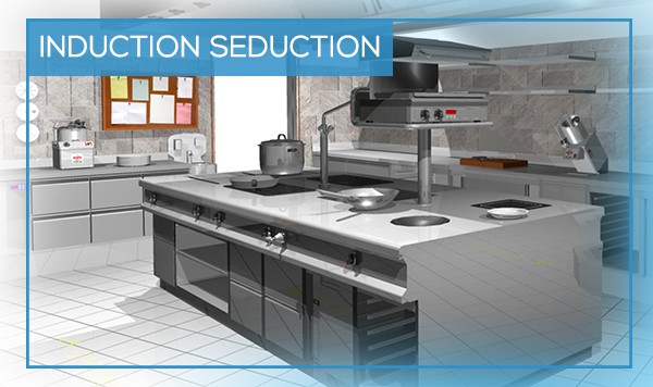 French plancha - Induction Cooking Suites, Induction Stoves and